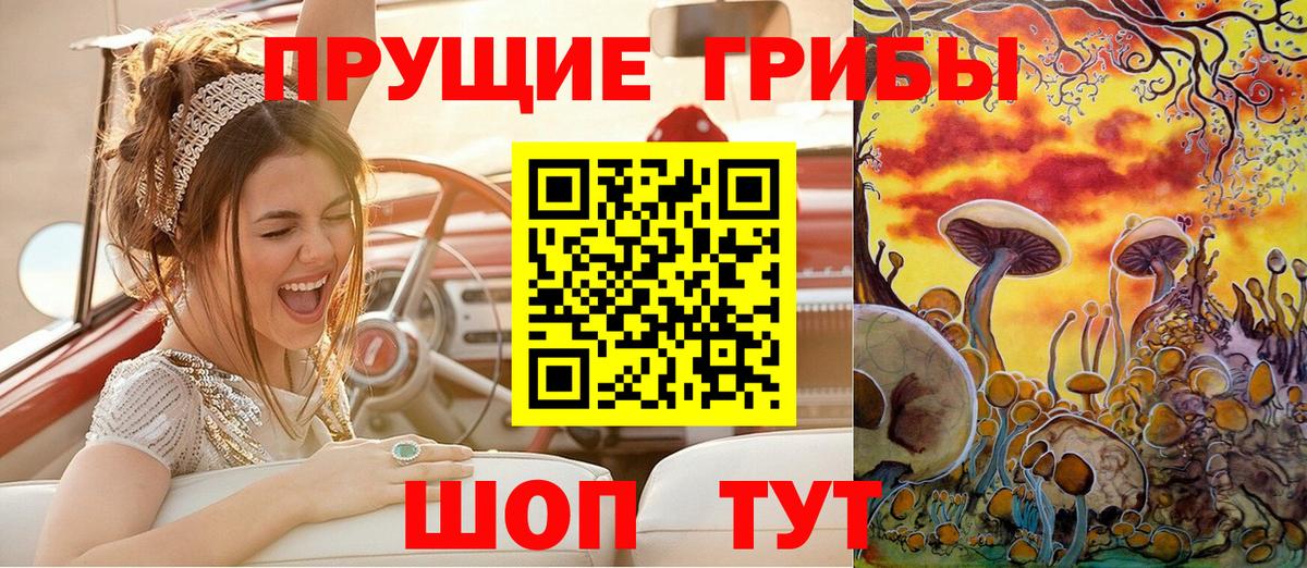 Псилоцибиновые грибы мицелий Люберцы